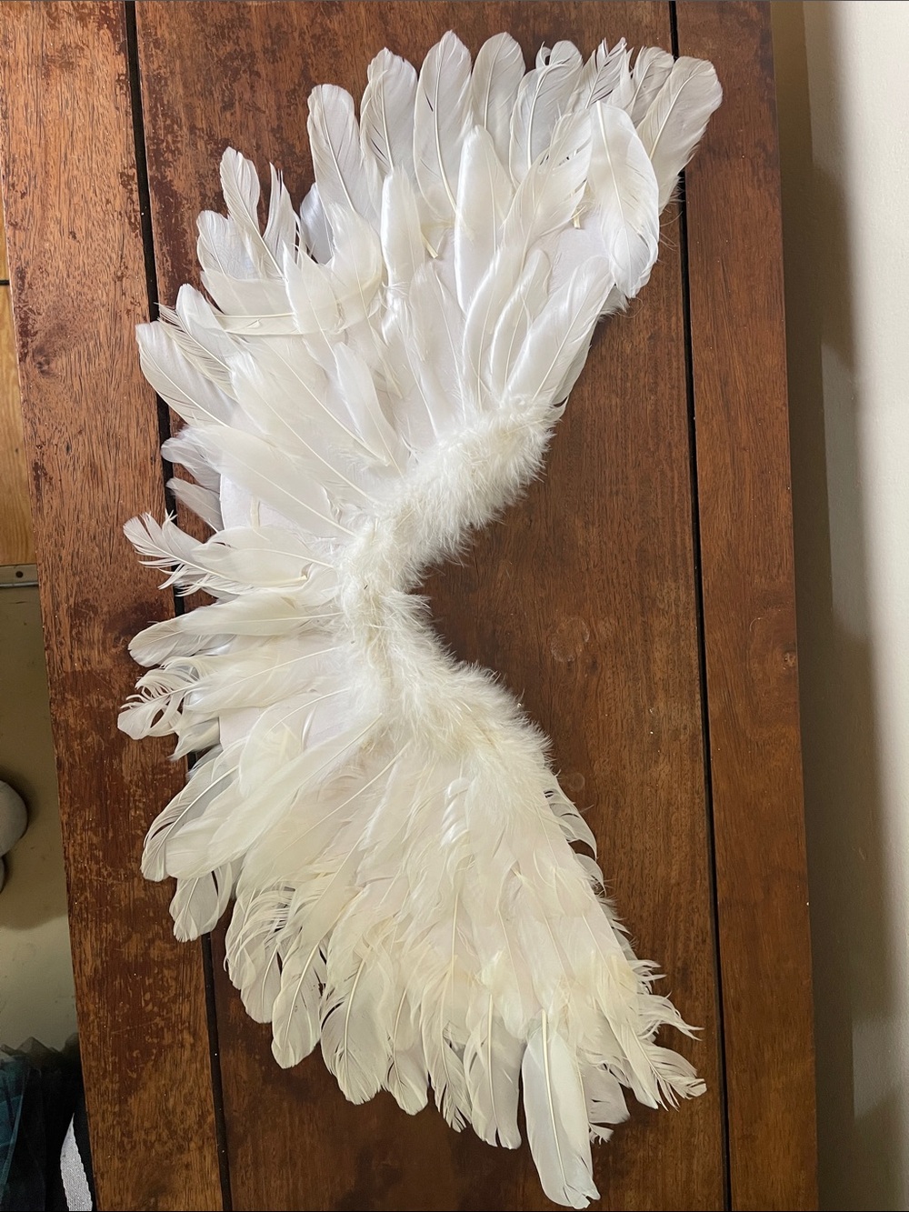 Angel wings for Halloween costume